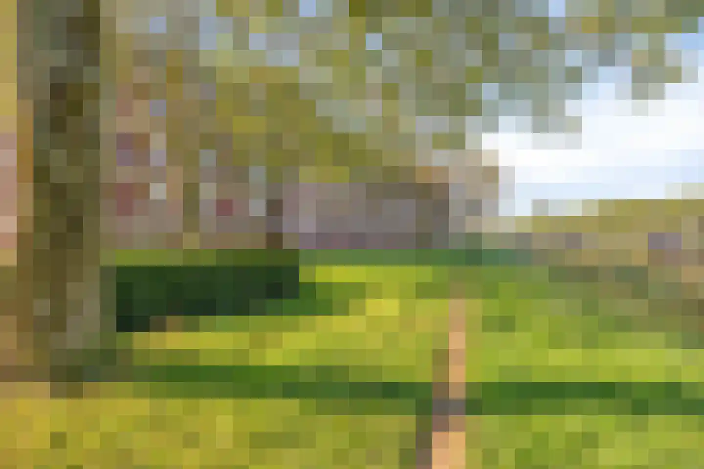 Maassingel 138 's-Hertogenbosch thumbnail 31