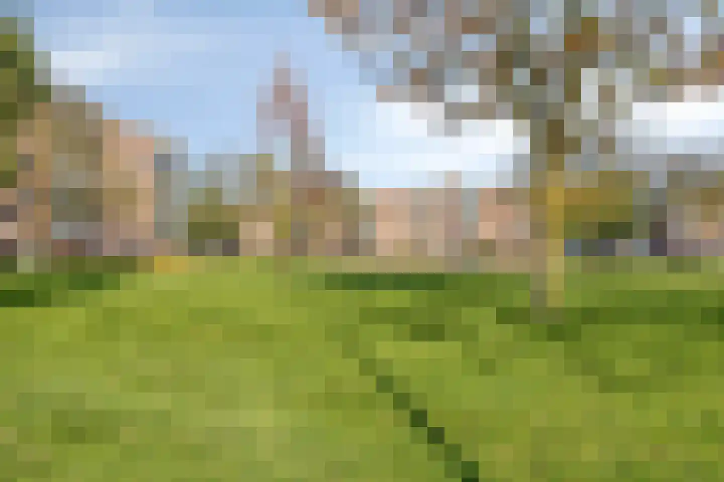 Maassingel 138 's-Hertogenbosch thumbnail 34