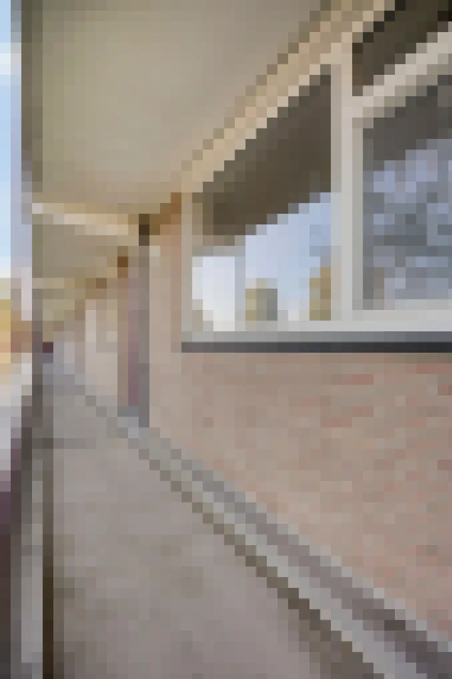 Maassingel 138 's-Hertogenbosch thumbnail 38
