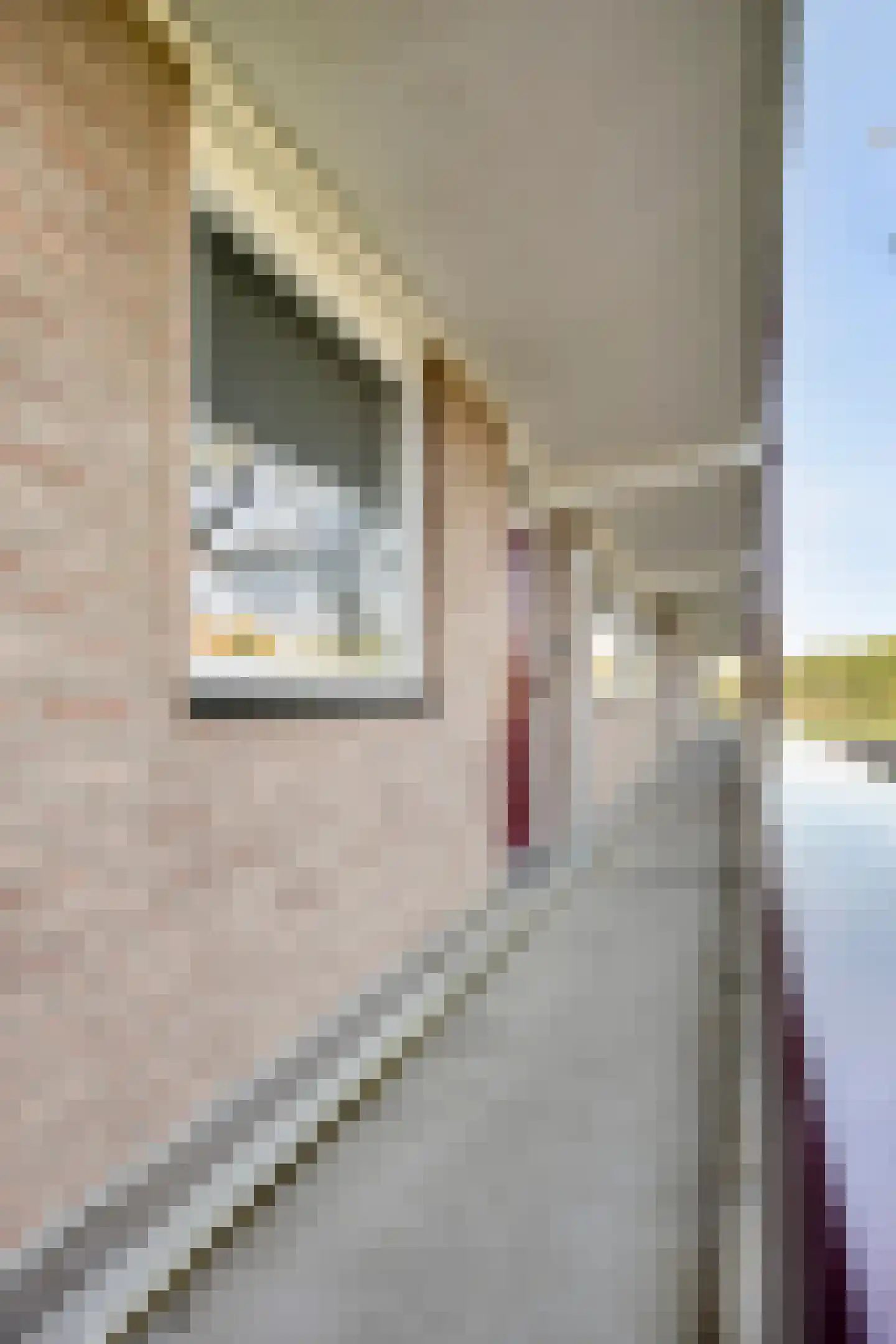 Maassingel 138 's-Hertogenbosch thumbnail 39