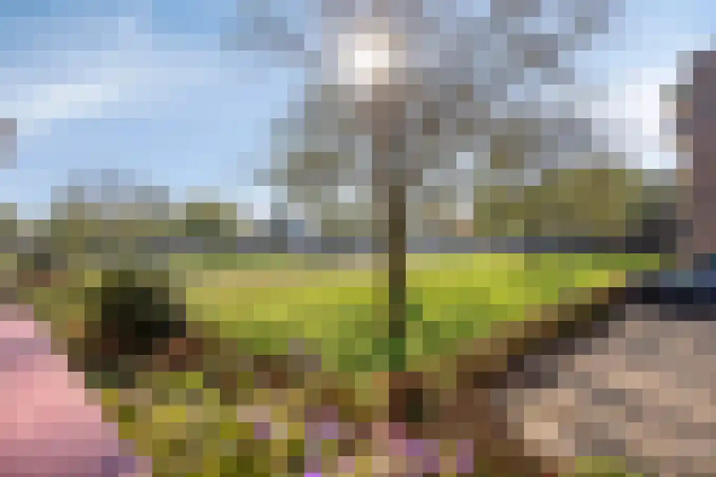 Maassingel 138 's-Hertogenbosch thumbnail 6