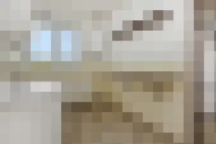 Maassingel 140 's-Hertogenbosch thumbnail 12