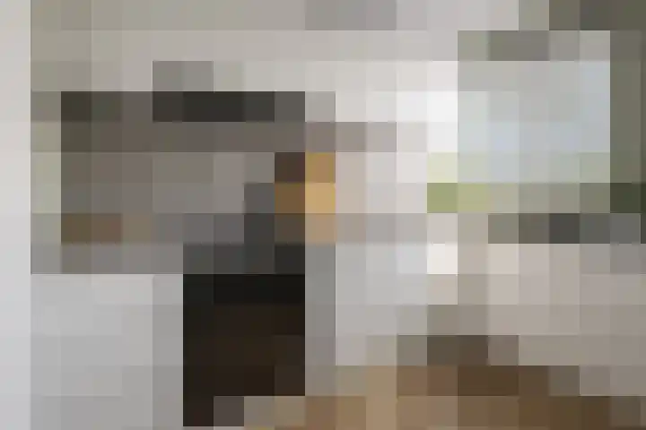 Maassingel 140 's-Hertogenbosch thumbnail 13