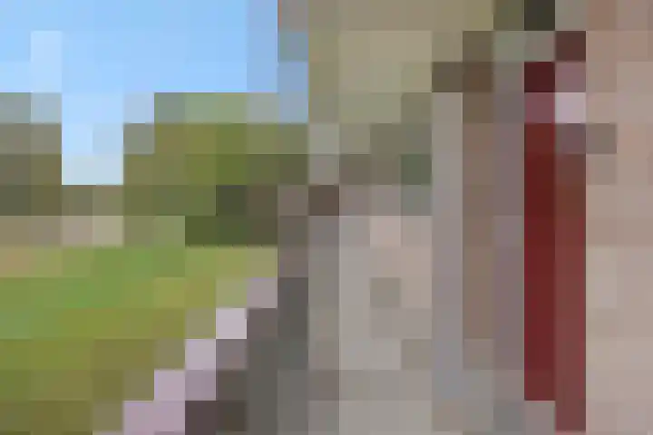 Maassingel 140 's-Hertogenbosch thumbnail 21
