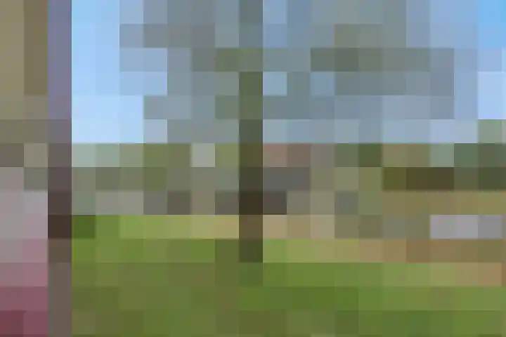 Maassingel 140 's-Hertogenbosch thumbnail 24