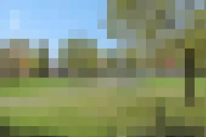 Maassingel 140 's-Hertogenbosch thumbnail 28