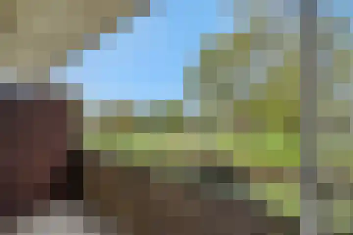 Maassingel 140 's-Hertogenbosch thumbnail 4