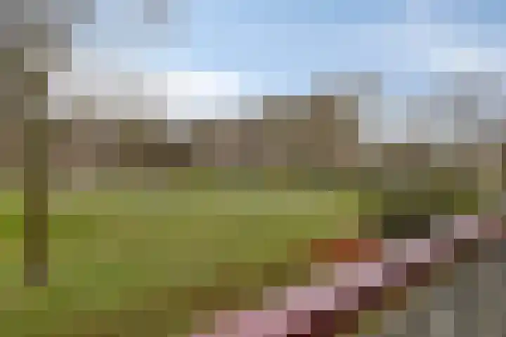 Maassingel 148 's-Hertogenbosch thumbnail 11