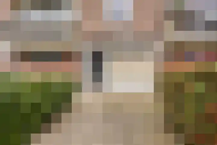 Maassingel 148 's-Hertogenbosch thumbnail 5