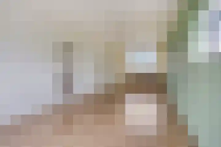 Maassingel 148 's-Hertogenbosch thumbnail 9
