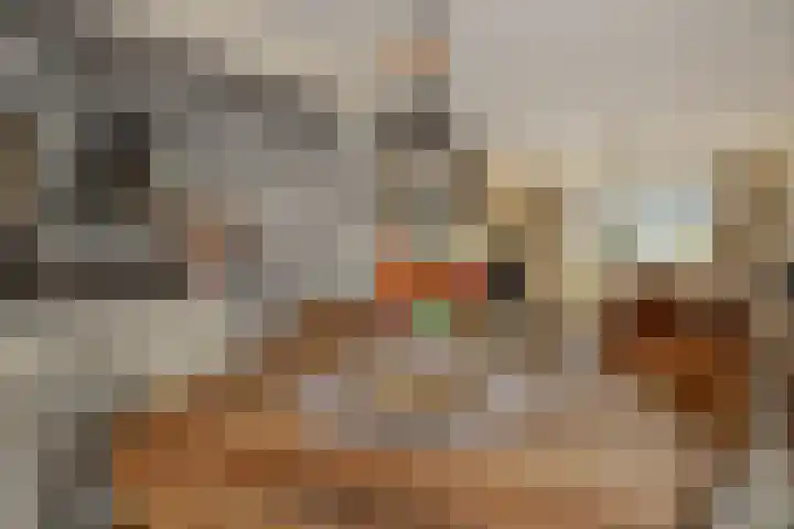 Maassingel 153 Deurne thumbnail 13