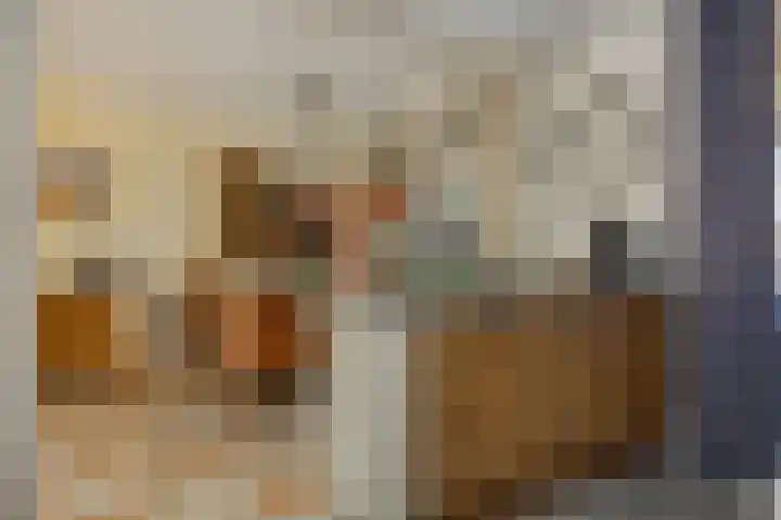 Maassingel 153 Deurne thumbnail 15