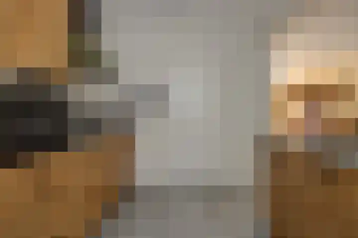 Maassingel 153 Deurne thumbnail 16