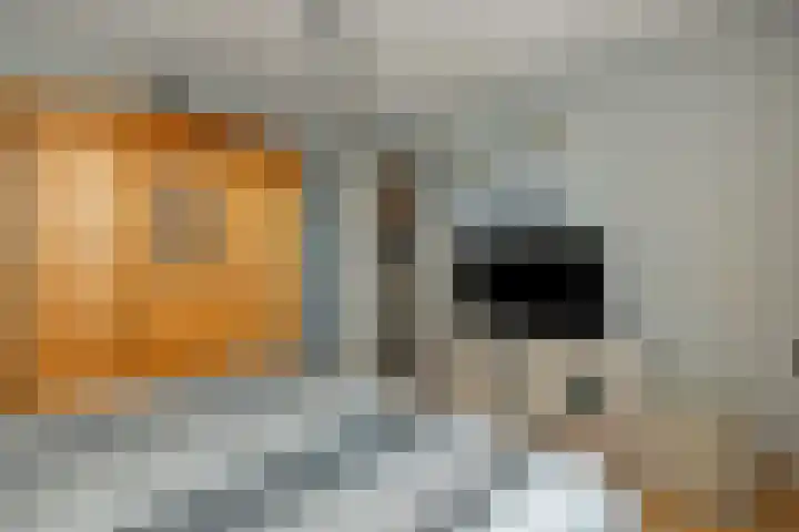 Maassingel 153 Deurne thumbnail 18