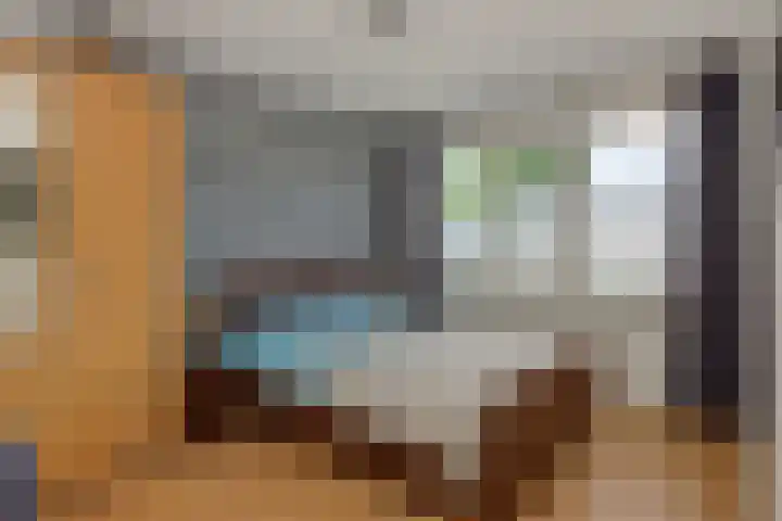 Maassingel 153 Deurne thumbnail 19
