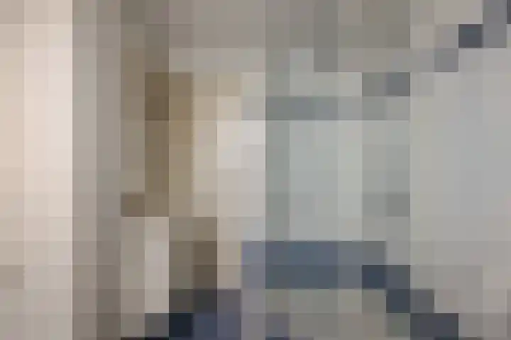 Maassingel 153 Deurne thumbnail 22
