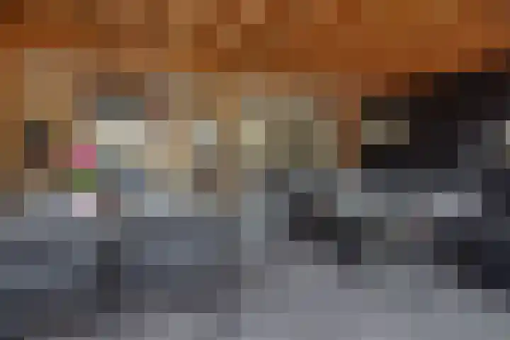 Maassingel 153 Deurne thumbnail 24