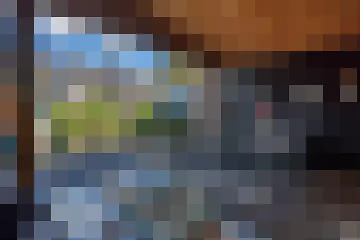 Maassingel 153 Deurne thumbnail 25