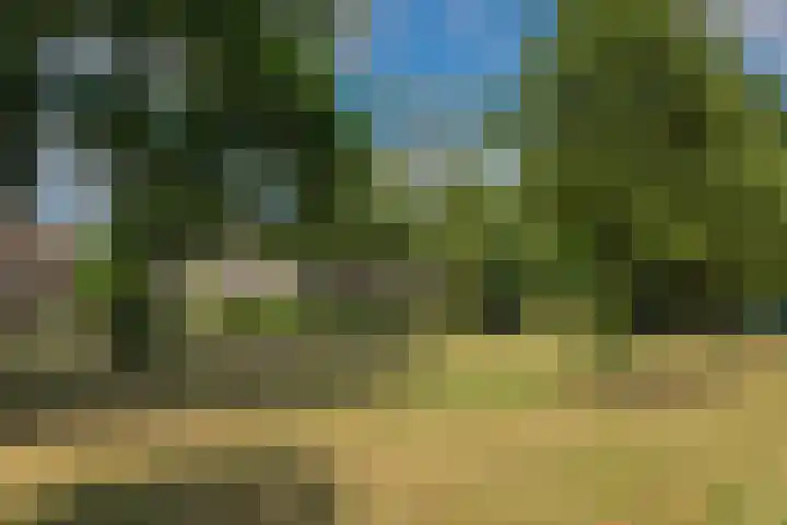 Maassingel 153 Deurne thumbnail 28