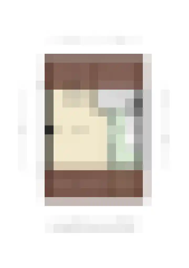 Maassingel 153 Deurne thumbnail 36