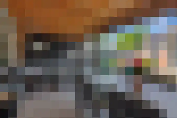 Maassingel 153 Deurne thumbnail 4