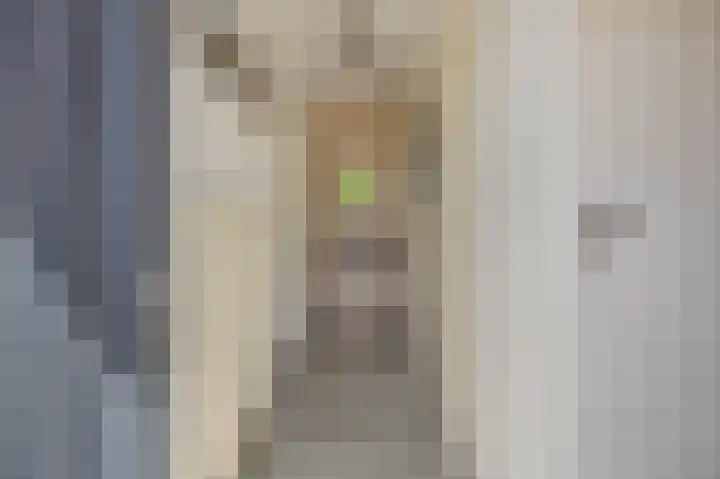 Maassingel 153 Deurne thumbnail 7