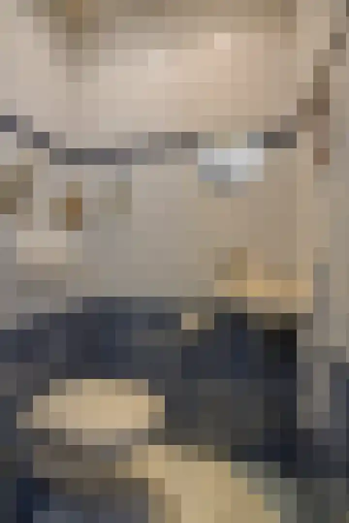 Maassingel 153 Deurne thumbnail 9