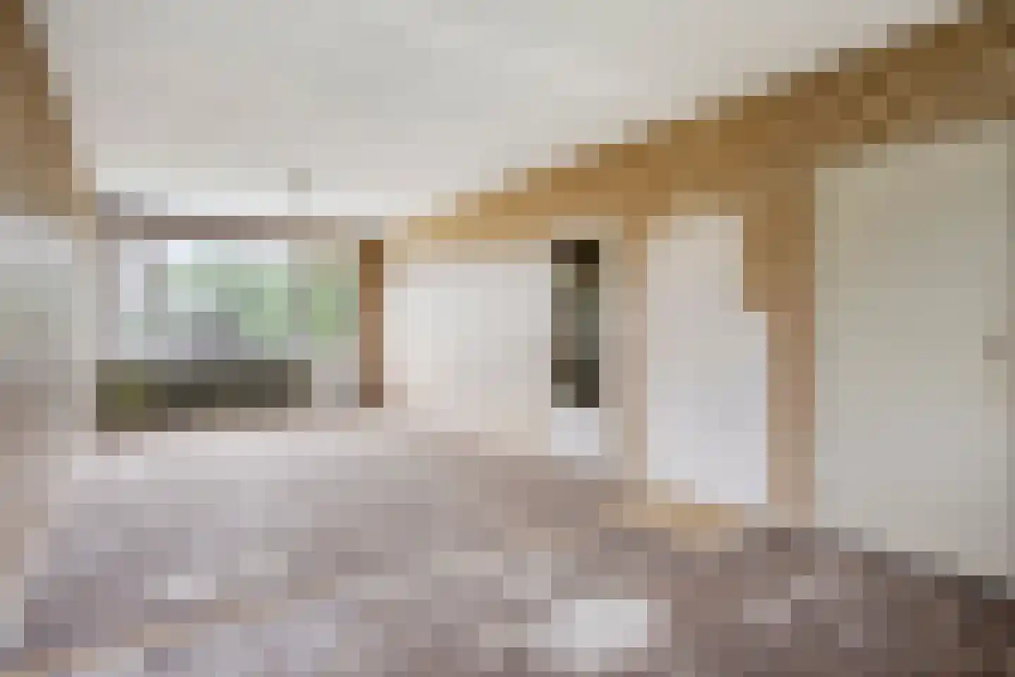 Maassingel 154 's-Hertogenbosch thumbnail 11