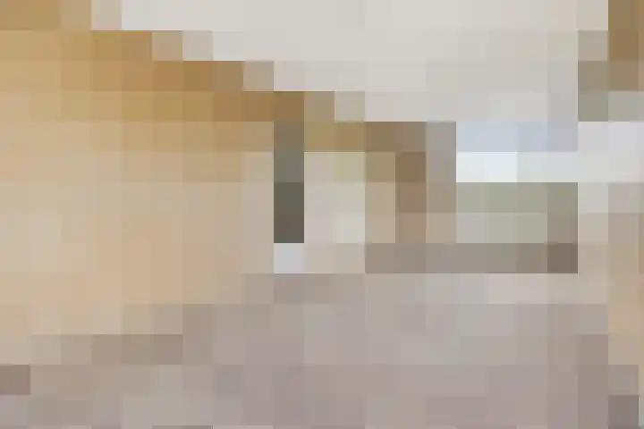 Maassingel 154 's-Hertogenbosch thumbnail 13