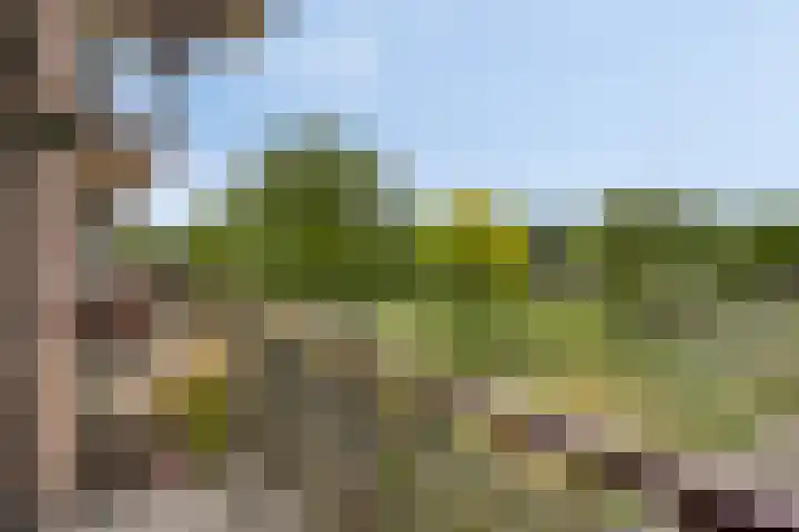 Maassingel 154 's-Hertogenbosch thumbnail 17