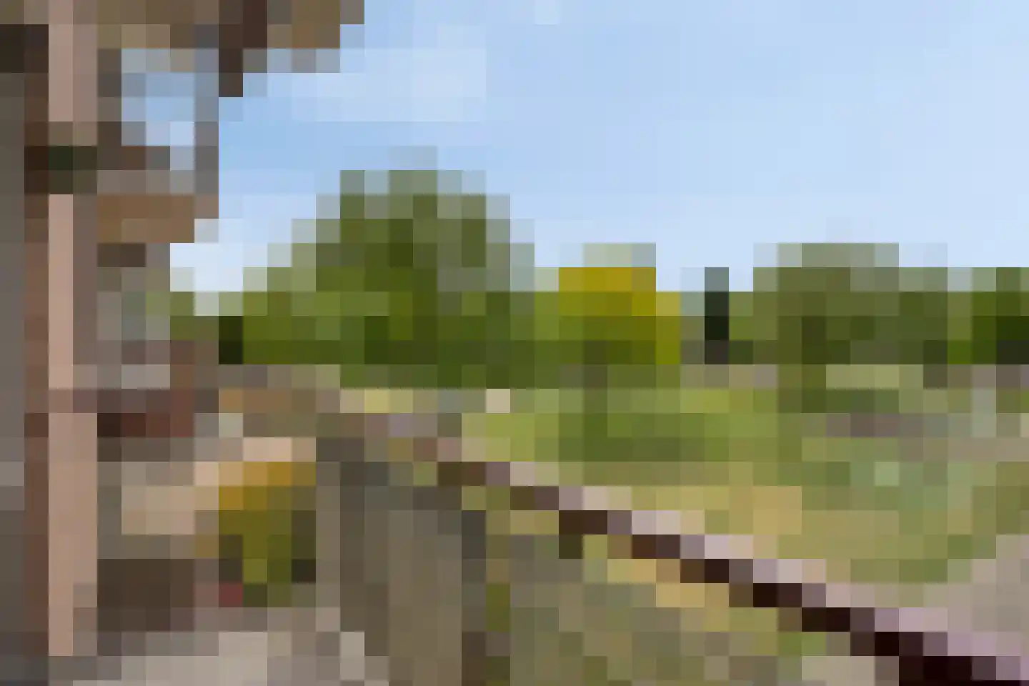 Maassingel 154 's-Hertogenbosch thumbnail 17