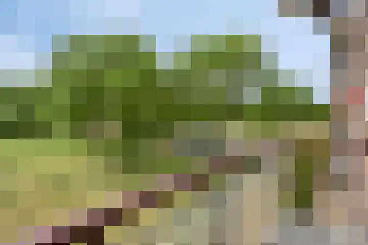 Maassingel 154 's-Hertogenbosch thumbnail 18