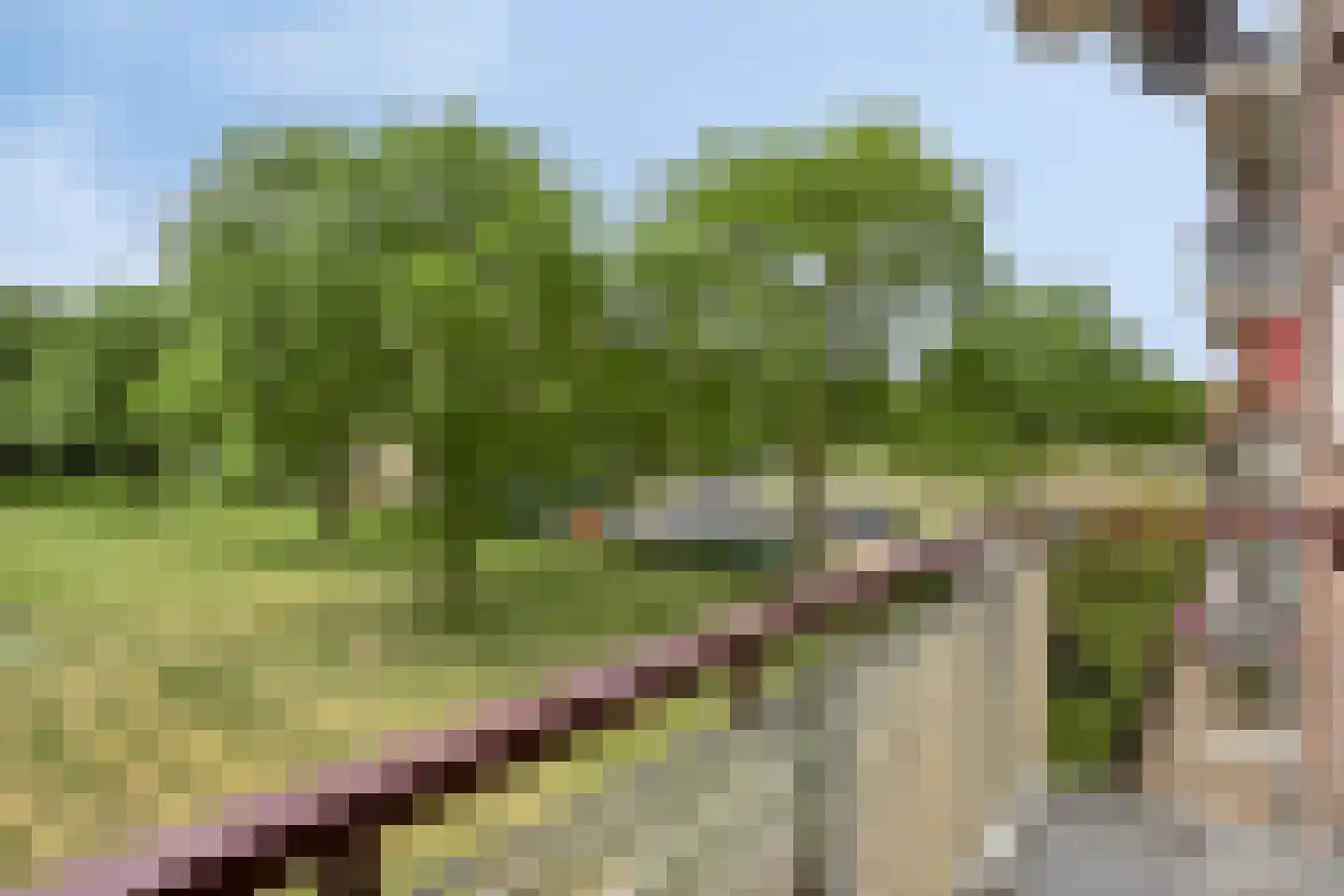 Maassingel 154 's-Hertogenbosch thumbnail 18