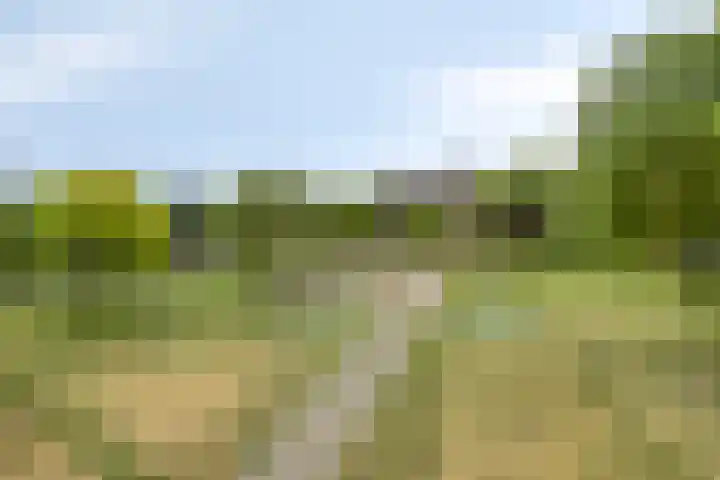 Maassingel 154 's-Hertogenbosch thumbnail 19