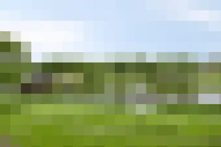Maassingel 154 's-Hertogenbosch thumbnail 20