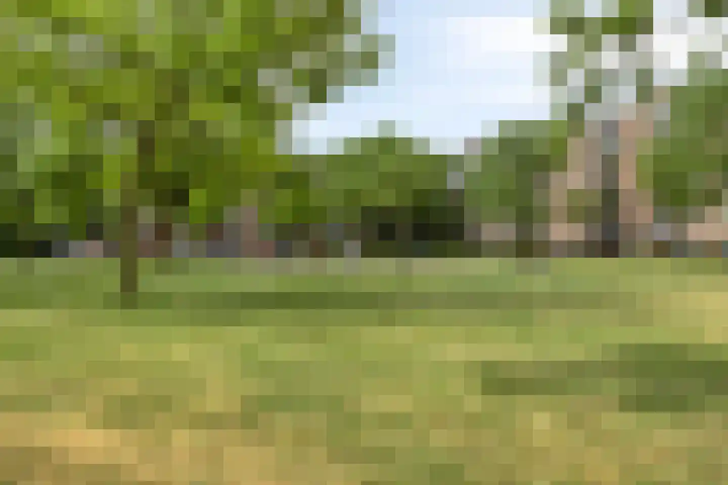 Maassingel 154 's-Hertogenbosch thumbnail 21