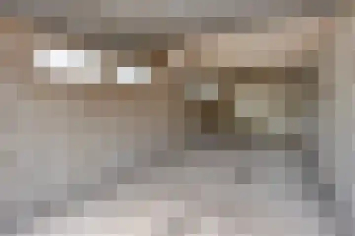 Maassingel 154 's-Hertogenbosch thumbnail 21