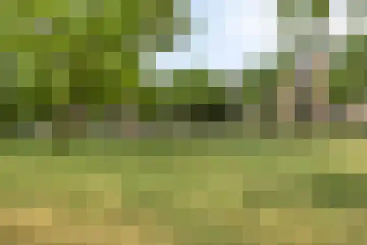 Maassingel 154 's-Hertogenbosch thumbnail 25