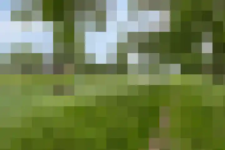 Maassingel 154 's-Hertogenbosch thumbnail 26