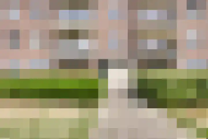Maassingel 154 's-Hertogenbosch thumbnail 29