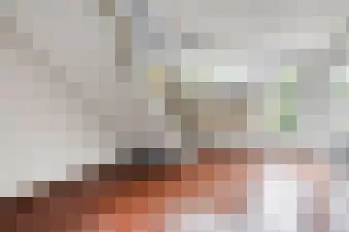 Maassingel 154 's-Hertogenbosch thumbnail 6
