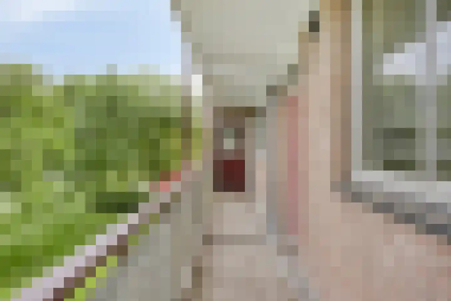Maassingel 154 's-Hertogenbosch thumbnail 7
