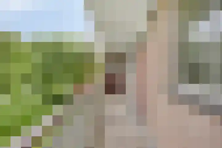Maassingel 154 's-Hertogenbosch thumbnail 7