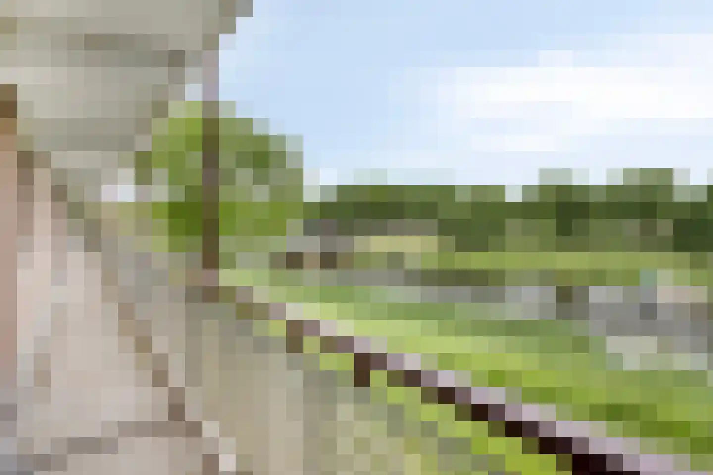 Maassingel 154 's-Hertogenbosch thumbnail 8