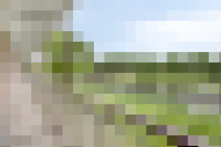 Maassingel 154 's-Hertogenbosch thumbnail 8
