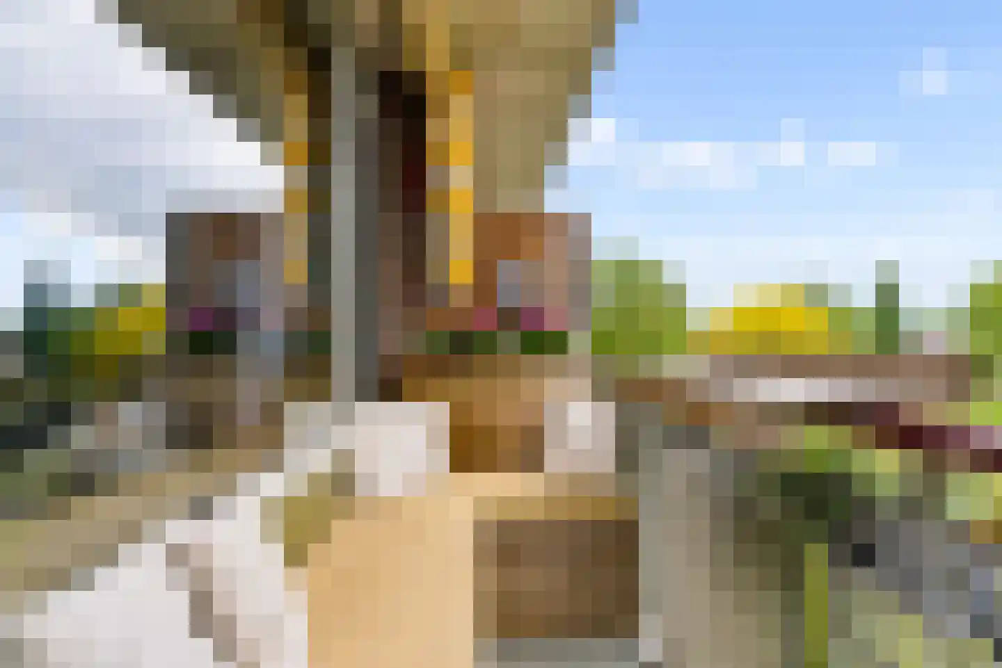 Maassingel 158 's-Hertogenbosch thumbnail 22