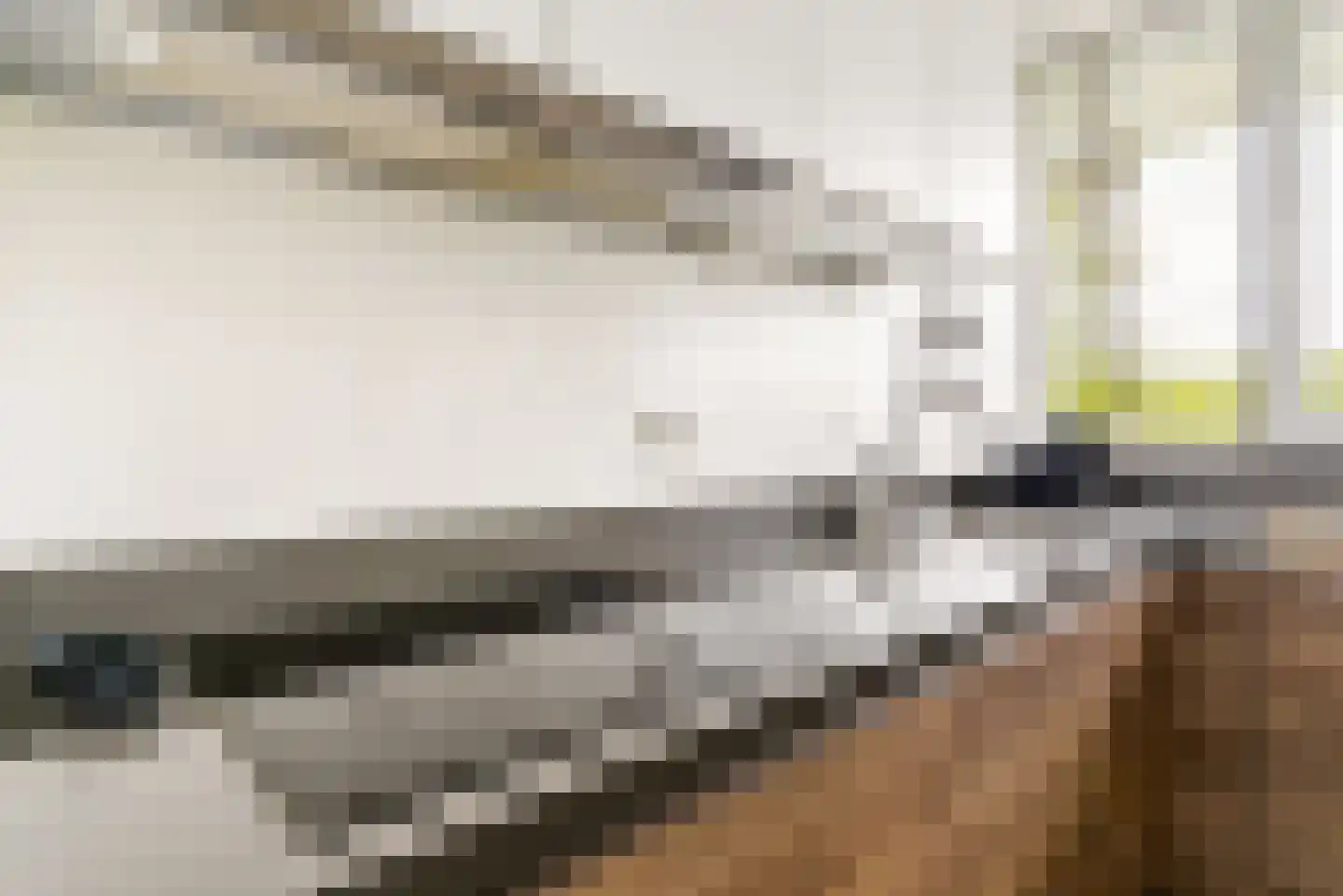 Maassingel 158 's-Hertogenbosch thumbnail 30