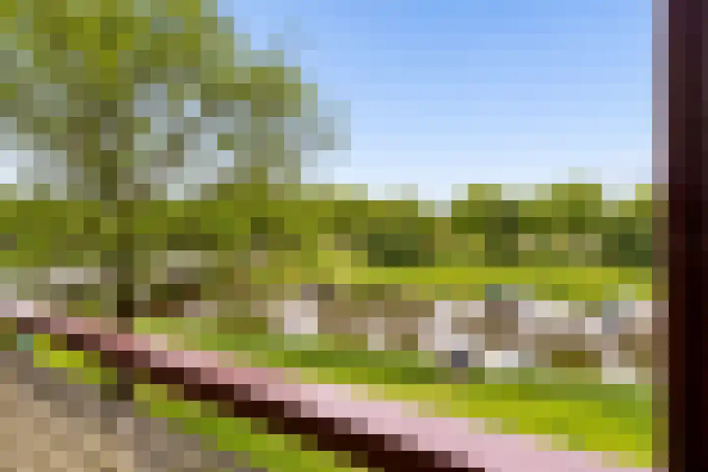 Maassingel 158 's-Hertogenbosch thumbnail 39