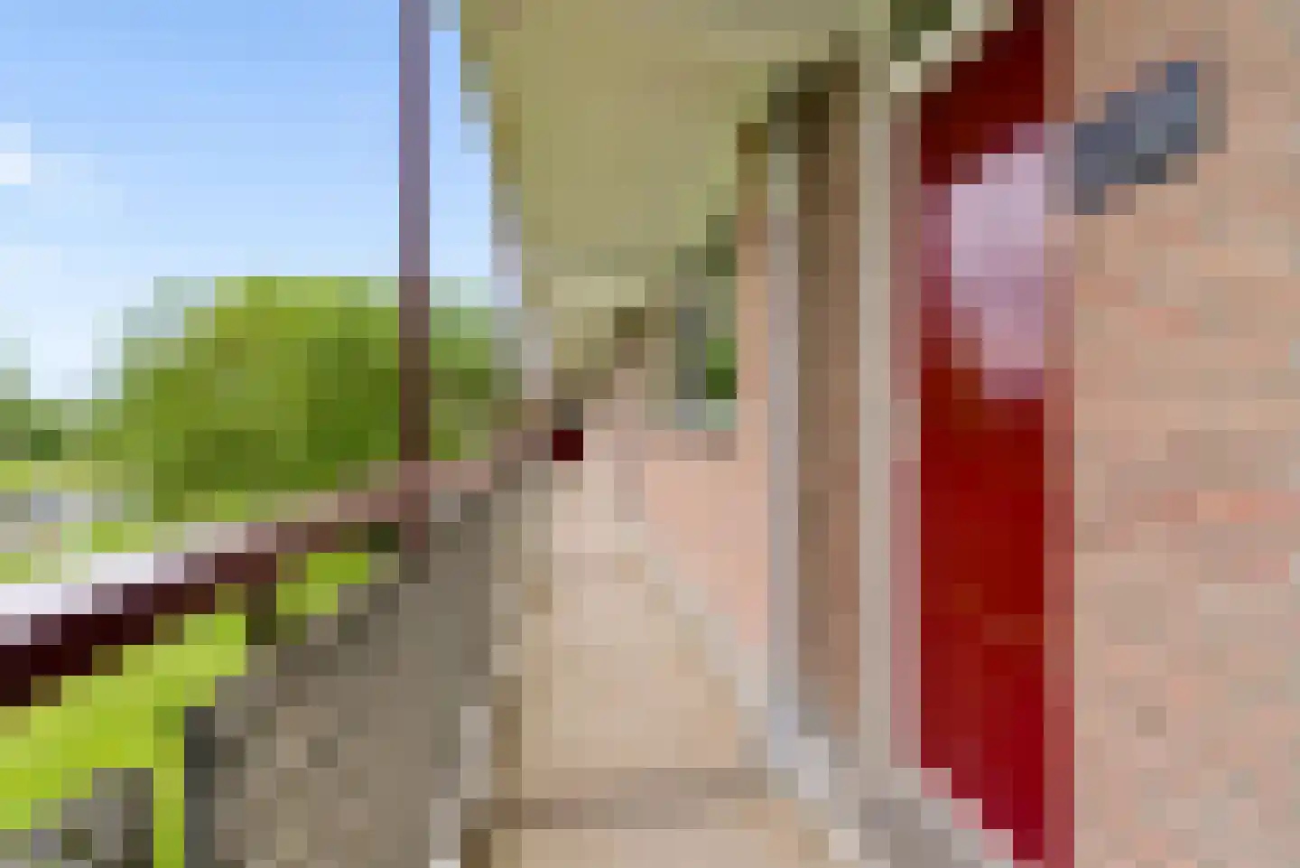 Maassingel 158 's-Hertogenbosch thumbnail 7