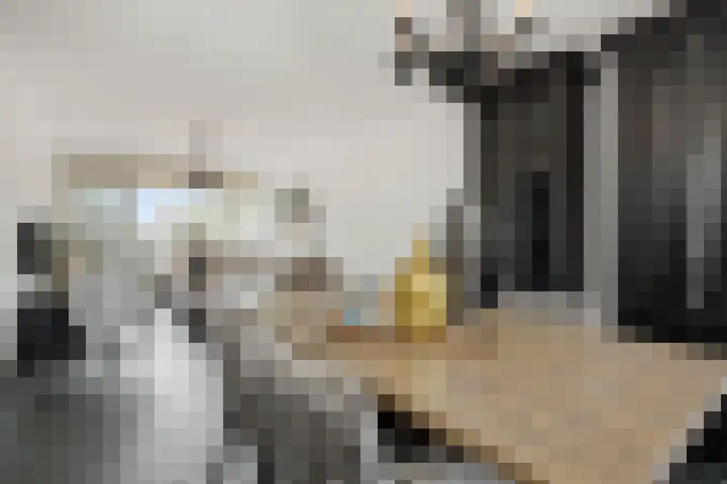 Maassingel 16 's-Hertogenbosch thumbnail 10